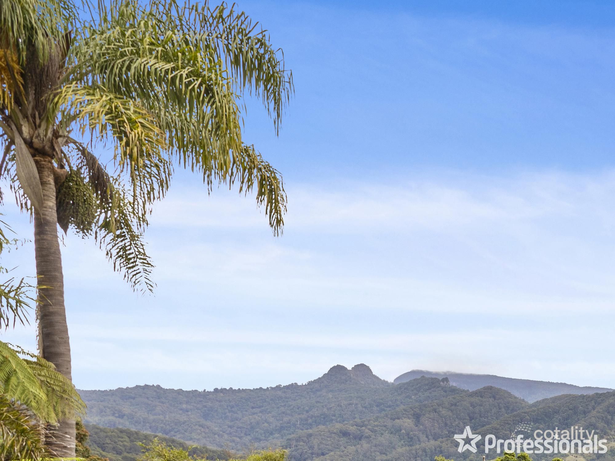 734 Tomewin Mountain Rd, Currumbin Valley, QLD 4223