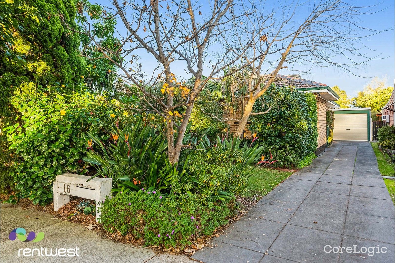 16 Basinghall St, East Victoria Park, WA 6101