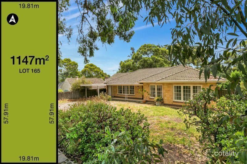 32 Montrose Ave, Netherby, SA 5062