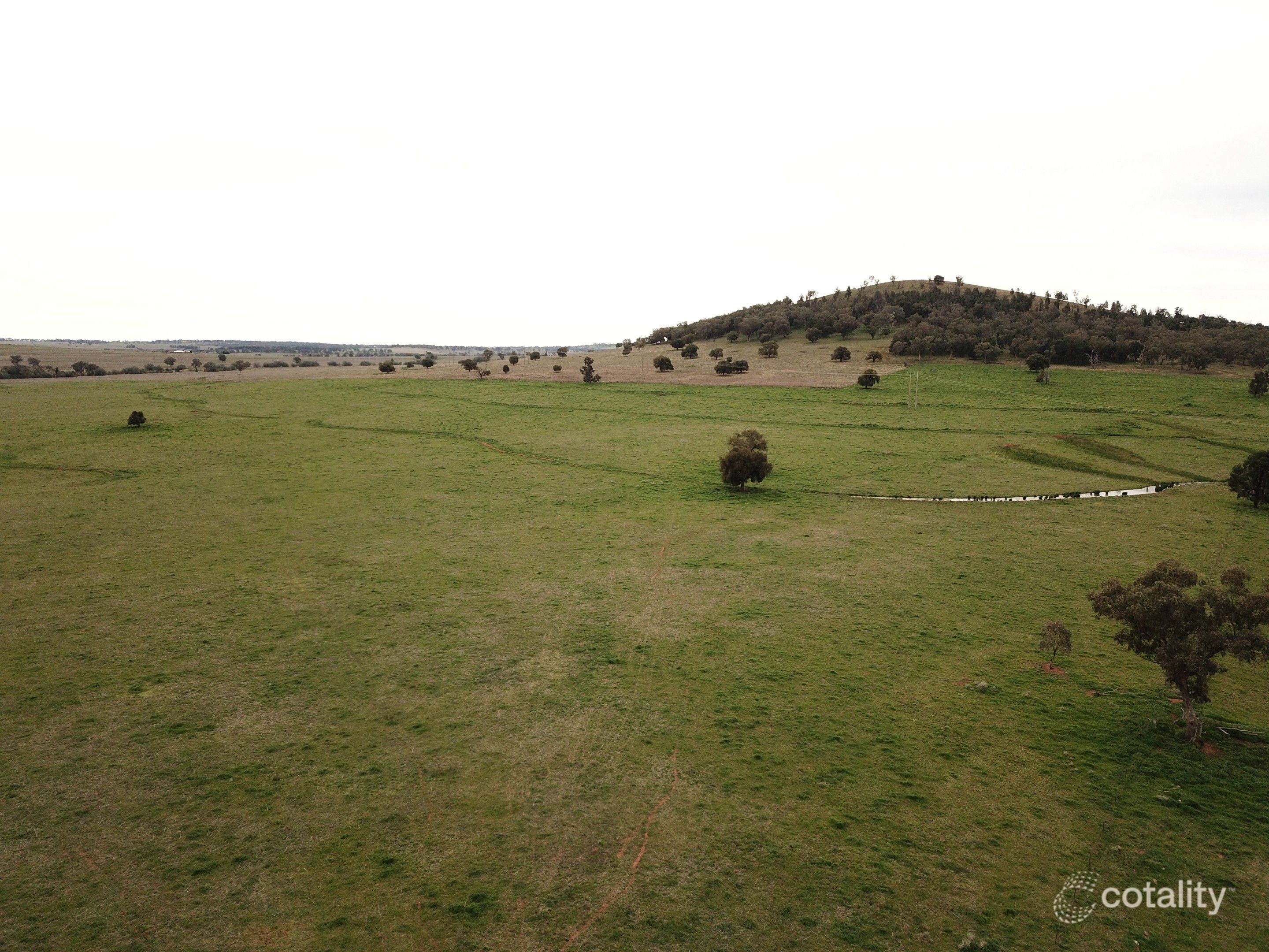 180 Arthurville Rd, Geurie, NSW 2818