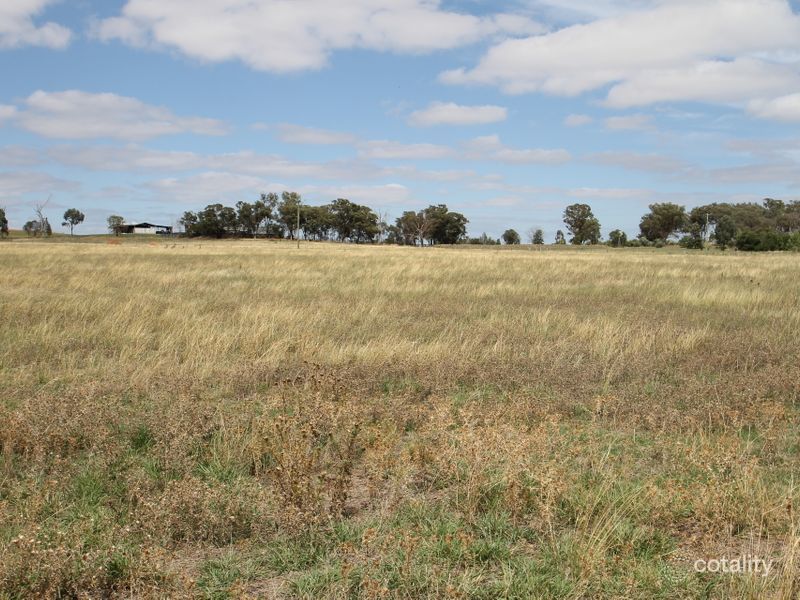 93 Williams Rd, Gulgong, NSW 2852