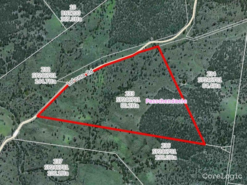Lot 233 Loloma Rd, Passchendaele, QLD 4352