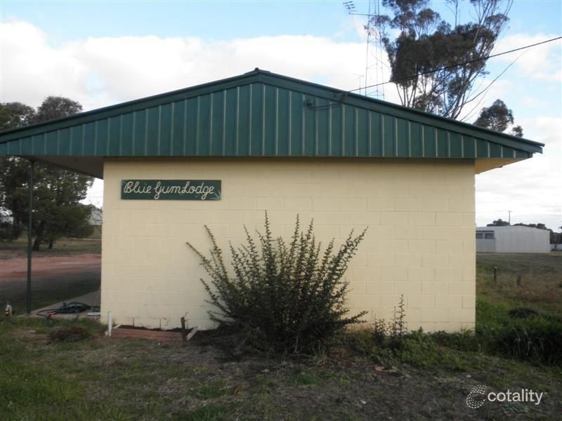 36 Umang St, Tottenham, NSW 2873