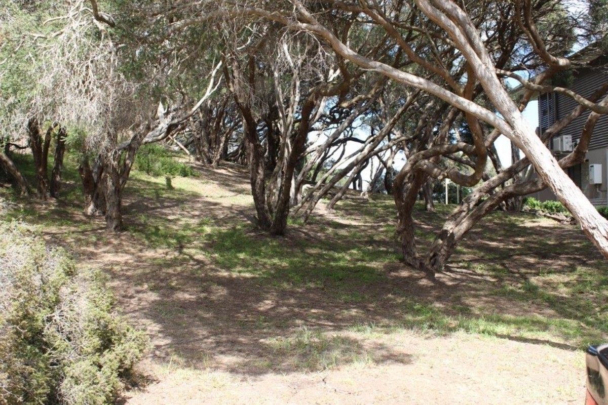 17 Nalong St, Rye, VIC 3941