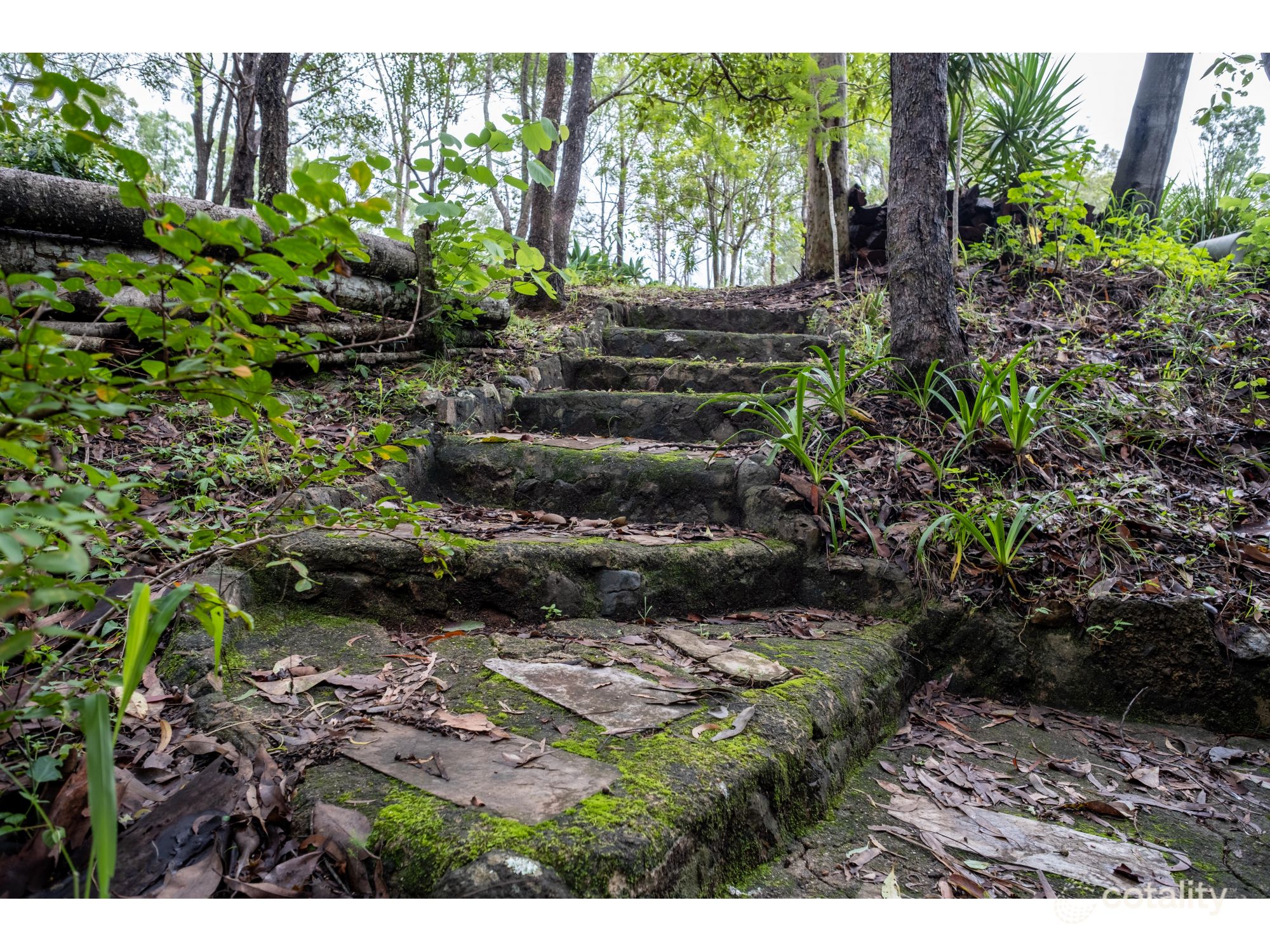 37 Swensons Rd, Mount Crosby, QLD 4306