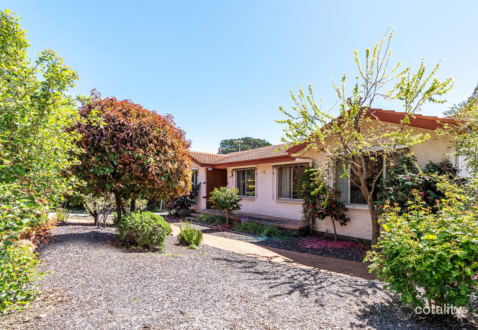 52 Belconnen Way, Page, ACT 2614