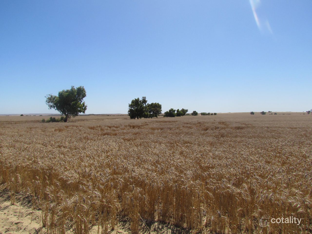 1062 East Bowes Rd, Naraling, WA 6532