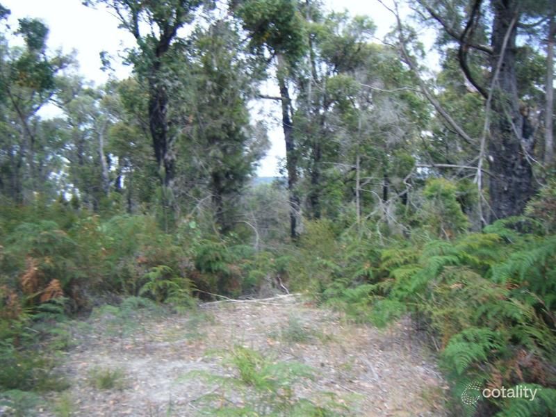 299 Badger Head Rd, Badger Head, TAS 7270
