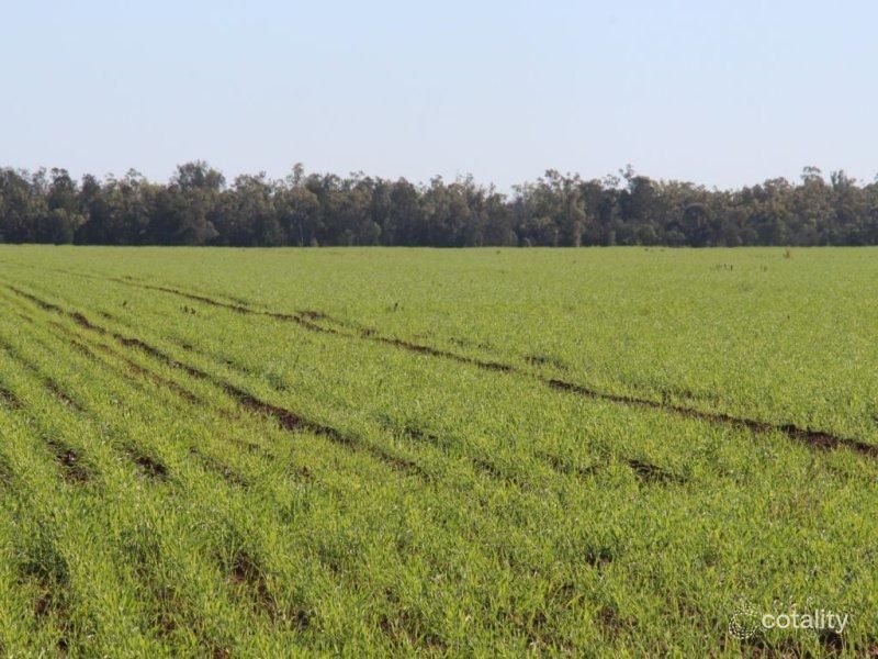 17571 Gore Hwy, Billa Billa, QLD 4390