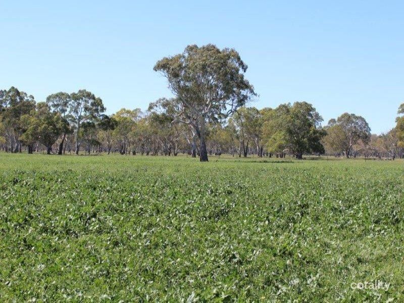 4307 Clay Wells Rd, Furner, SA 5280