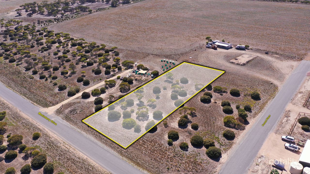 25 Meeinderry Dr, Perlubie, SA 5680