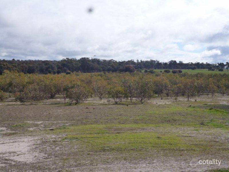 821 Robinson Rd, South Glencoe, WA 6317