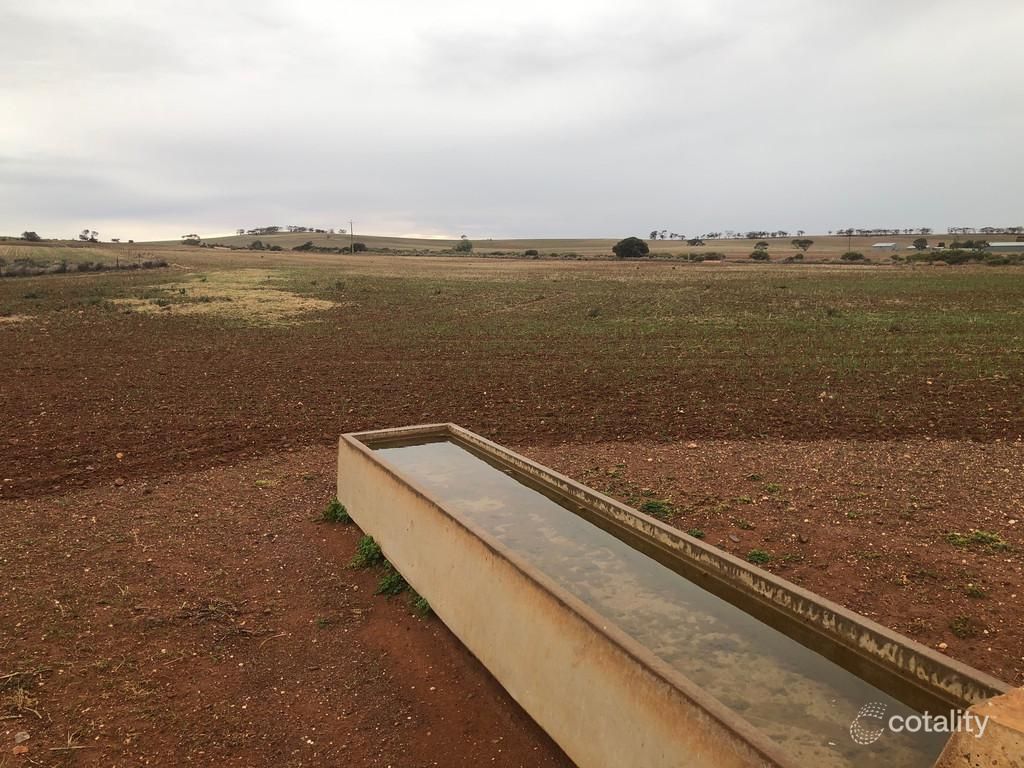 929 Plains Rd, Australia Plains, SA 5374