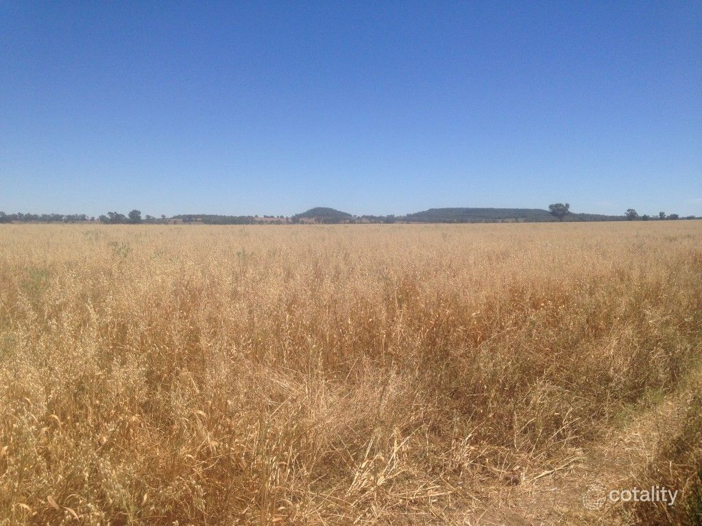 2674 River Rd, Gravesend, NSW 2401