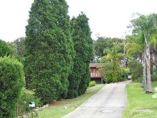 29 Gilsmere St, Jewells, NSW 2280