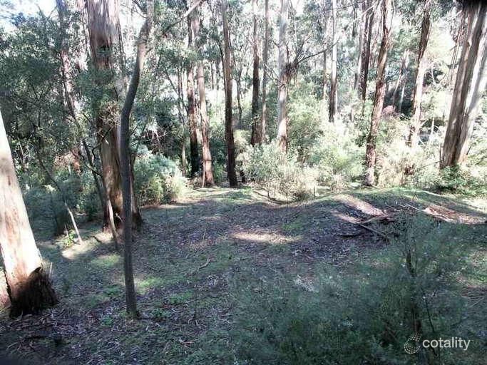 6 Karingal Dr, Wye River, VIC 3234