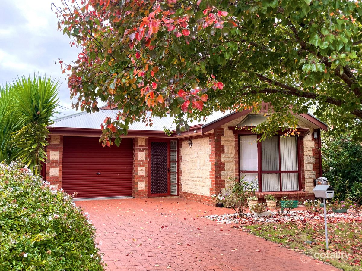 11 Ashton Pl, Wynn Vale, SA 5127