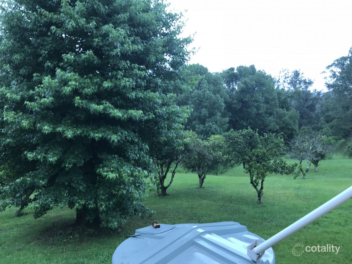 2656 Waterfall Way, Thora, NSW 2454