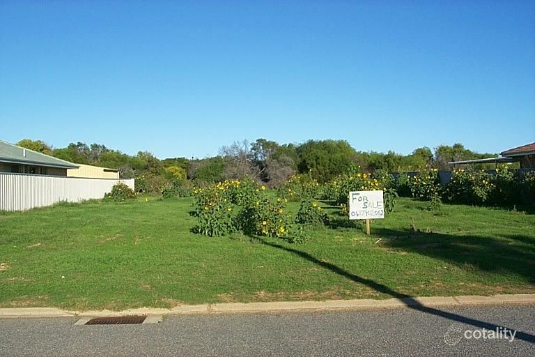 91 Mcaleer Dr, Mahomets Flats, WA 6530