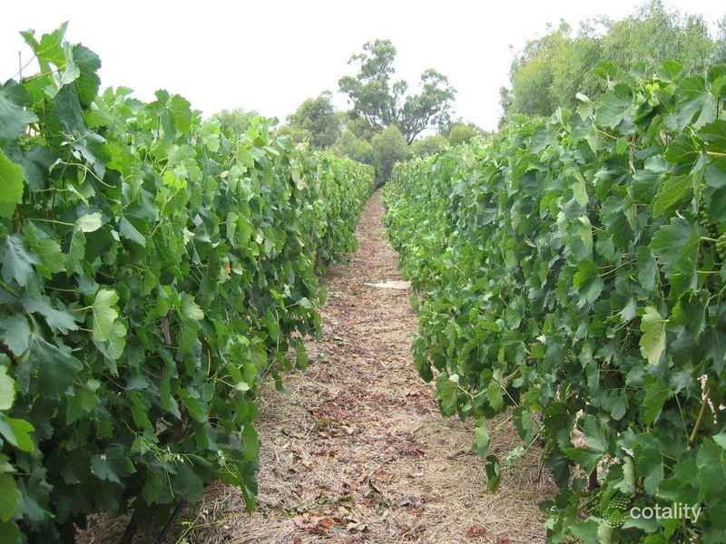 1 Holmfield Ct, Moama, NSW 2731