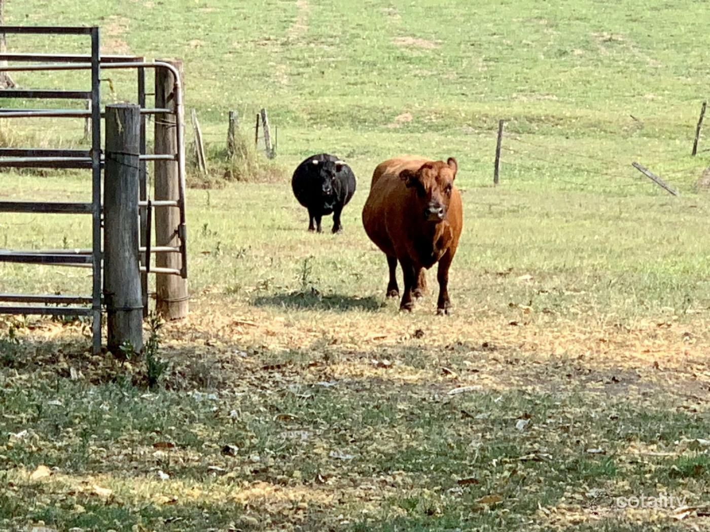 35 Anne Marie Rd, Chatsworth, QLD 4570