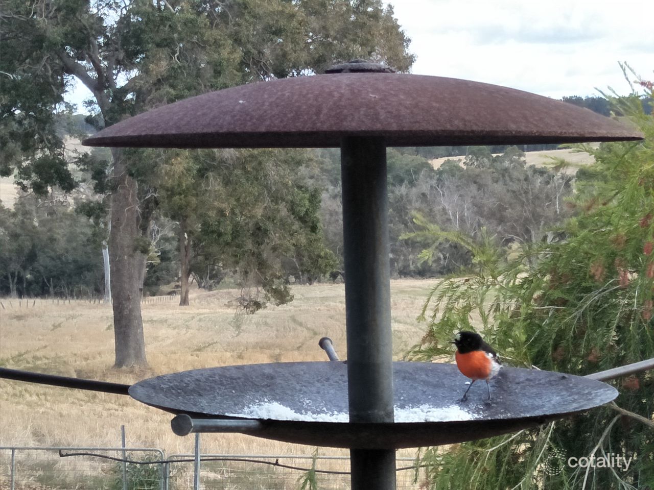 5980 Donnybrook-Boyup Brook Rd, Benjinup, WA 6255