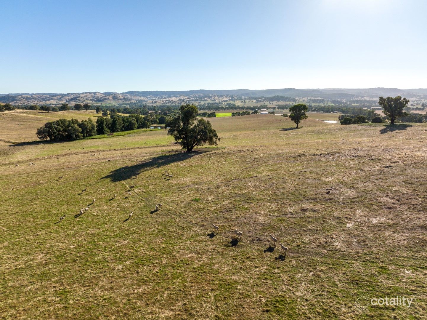 1725 Humula Rd, Tarcutta, NSW 2652