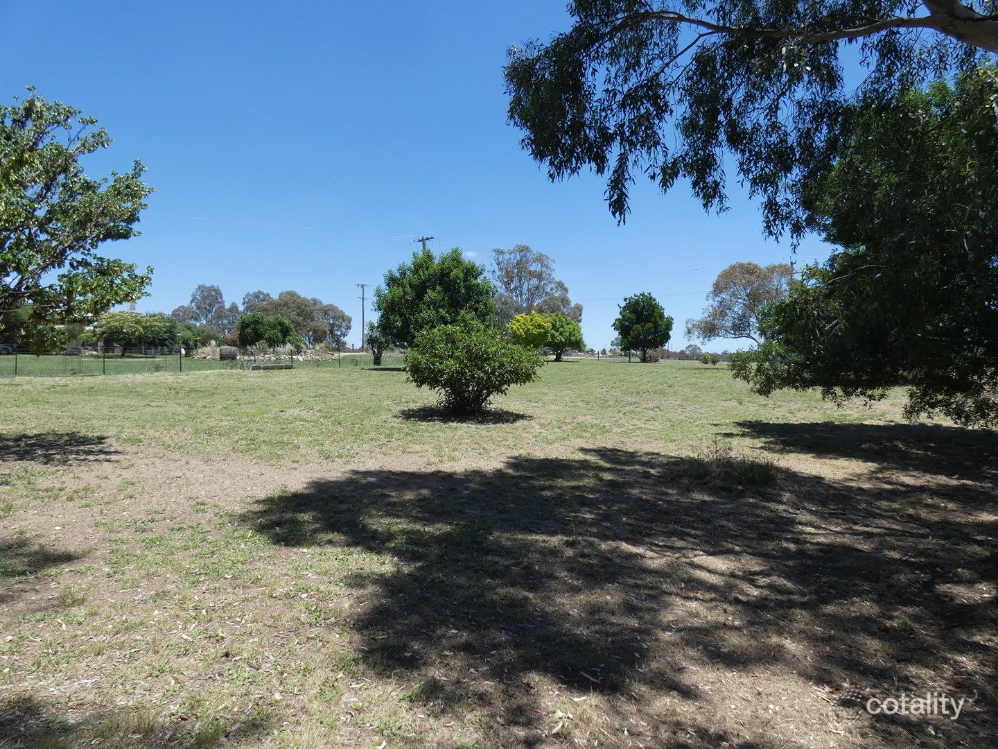 2246 Murringo Rd, Murringo, NSW 2586