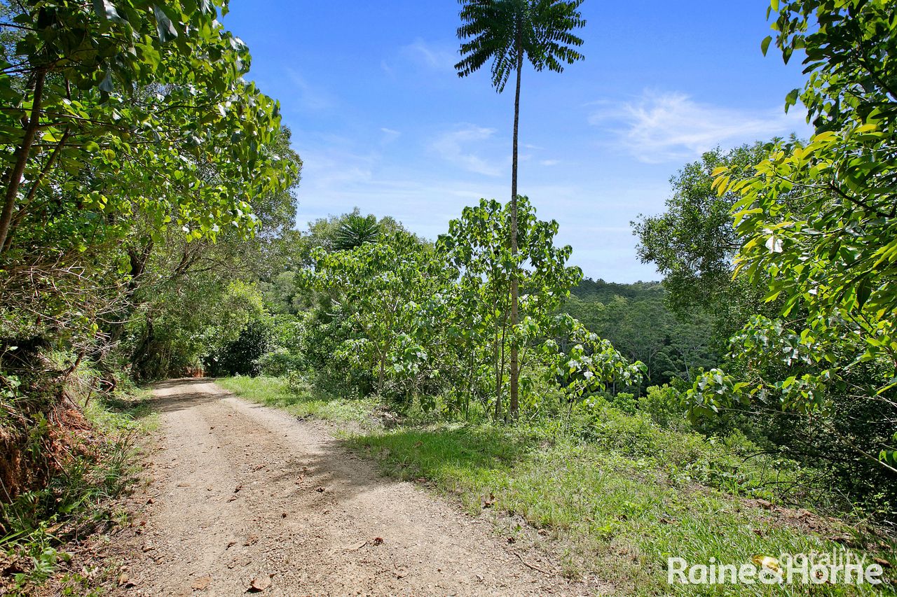 44-62 Carroo Lane, Ridgewood, QLD 4563