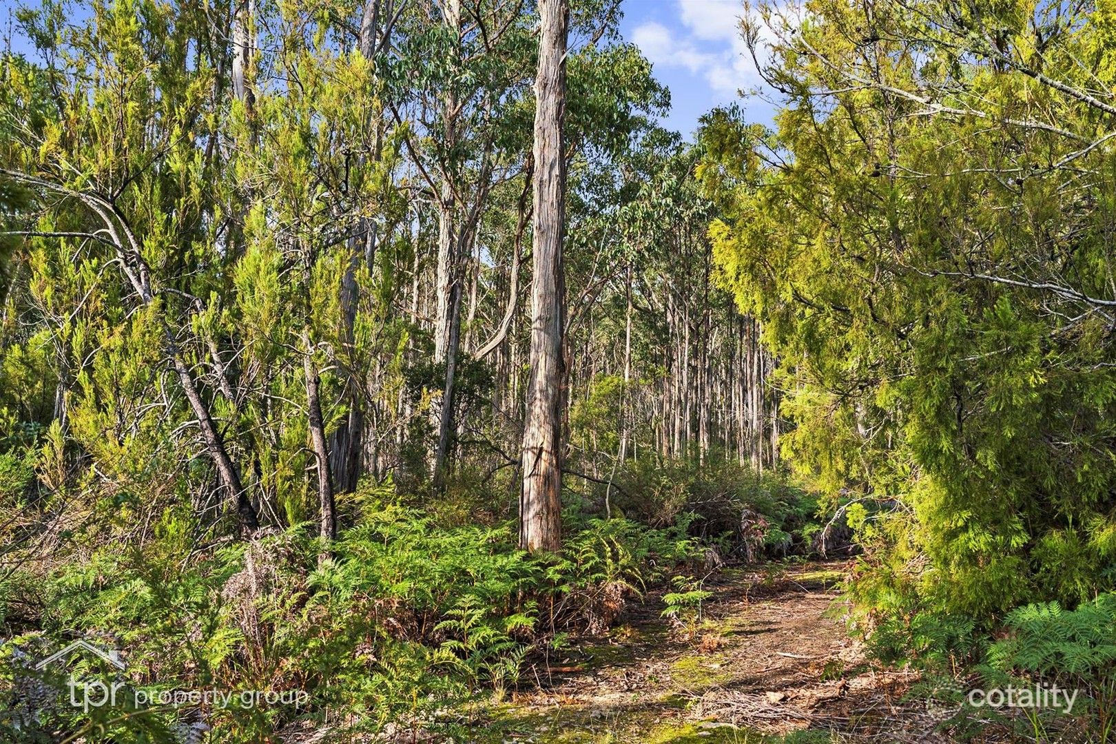 1 Kellys Rd, Cradoc, TAS 7109