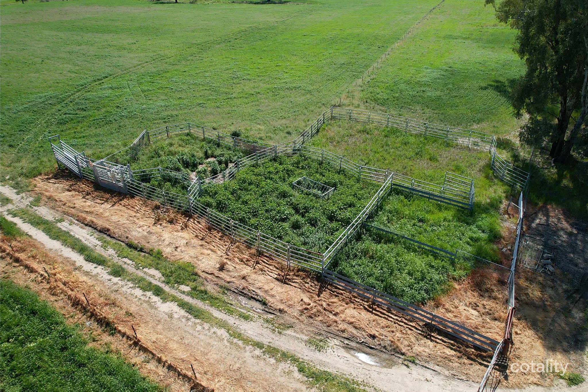 126 Kneebones Rd, Euberta, NSW 2650