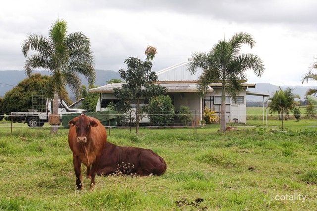 106 Cantamessa Rd, Abergowrie, QLD 4850