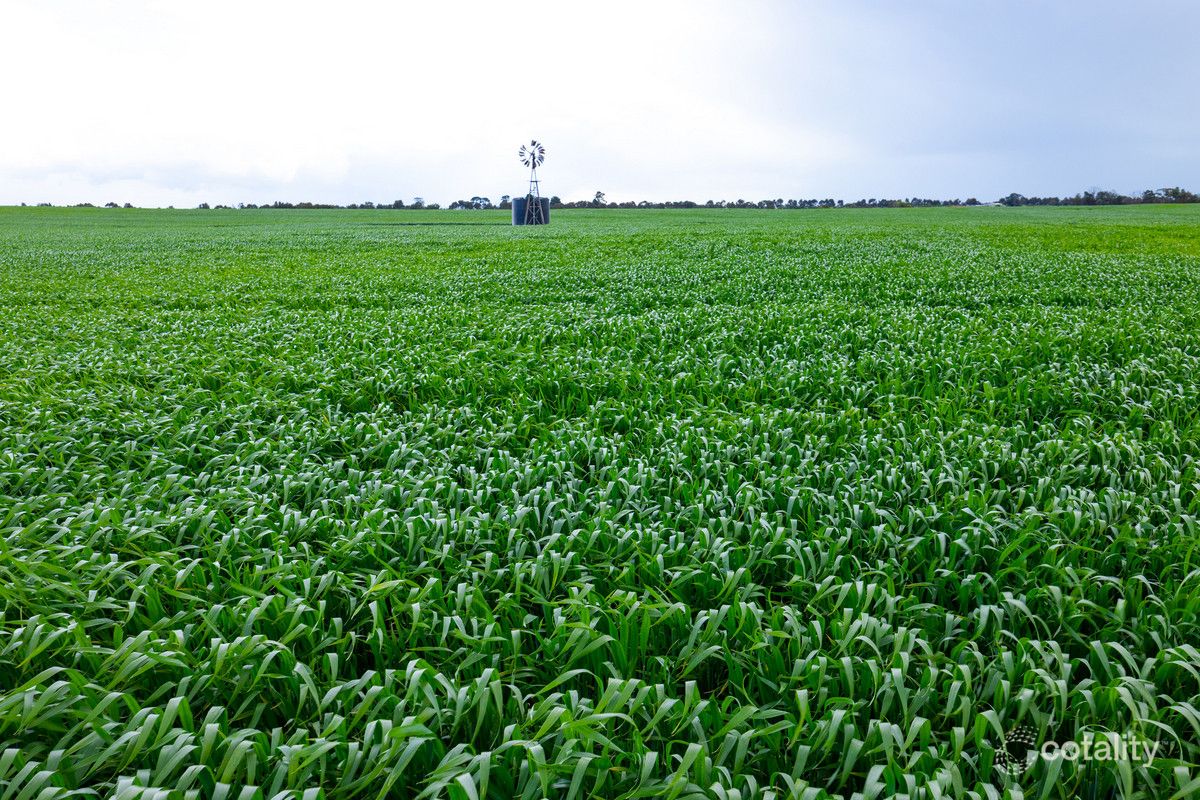 1015 Eurack Rd, Eurack, VIC 3251