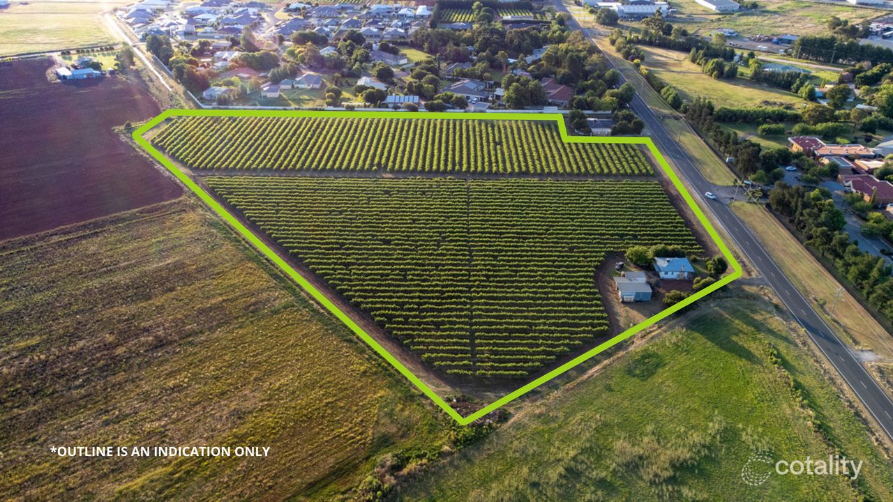 260 Oakes Rd, Yoogali, NSW 2680