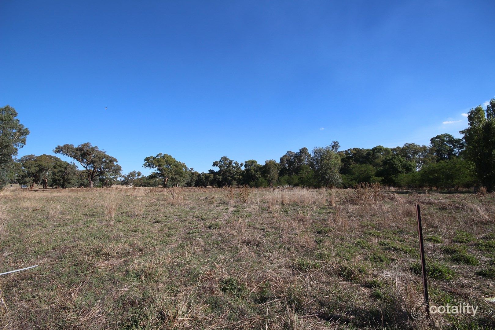 3005 Sturt Hwy, Alfredtown, NSW 2650