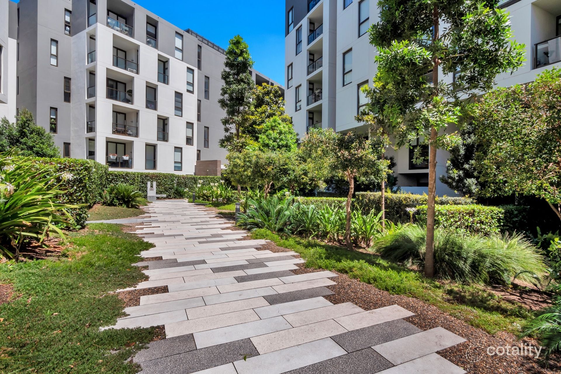 305/10 Scotsman St, Forest Lodge, NSW 2037