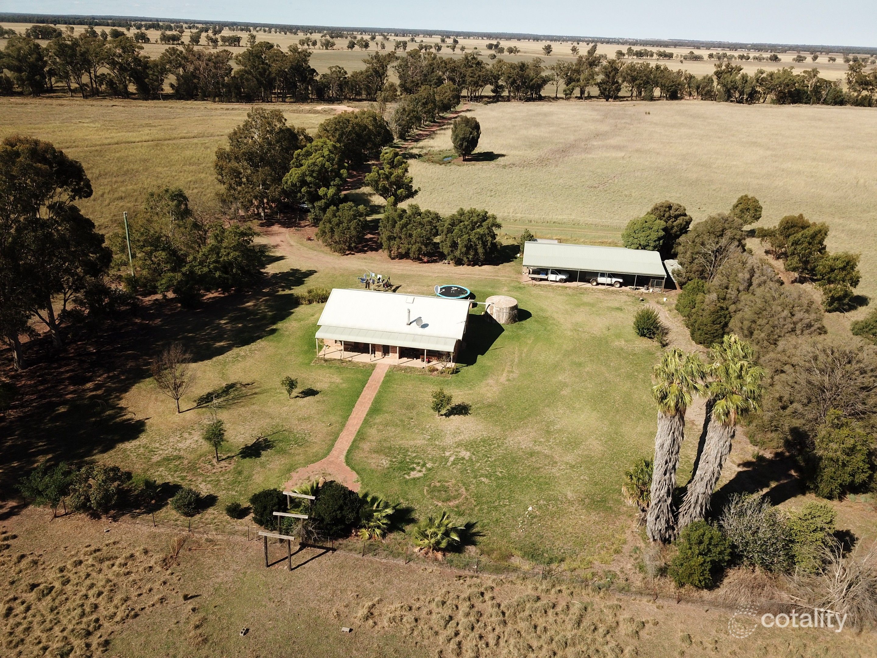 223 Ellis Rd, Gilgandra, NSW 2827