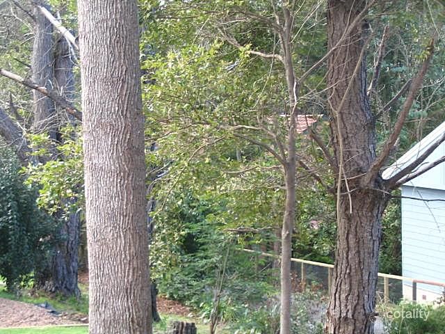 147 The Round Dr, Avoca Beach, NSW 2251