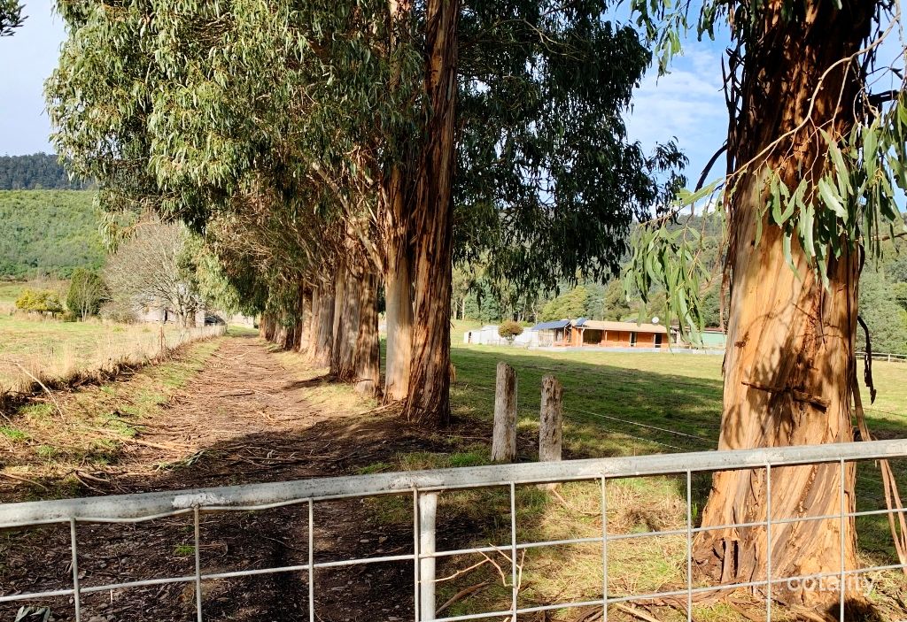 471 Nook Rd, Nabowla, TAS 7260