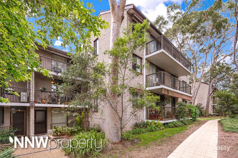 13/205 Waterloo Rd, Marsfield, NSW 2122
