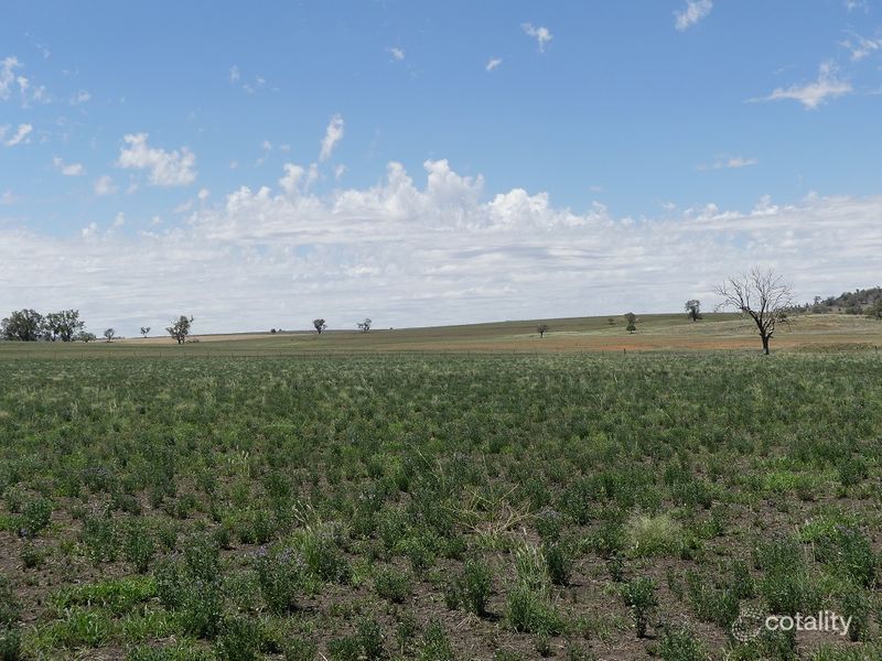 553 Michell Lane, Myall Creek, NSW 2403