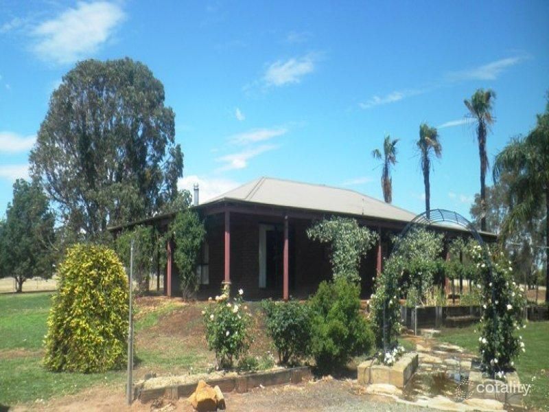 476 Kaputar Rd, Narrabri, NSW 2390