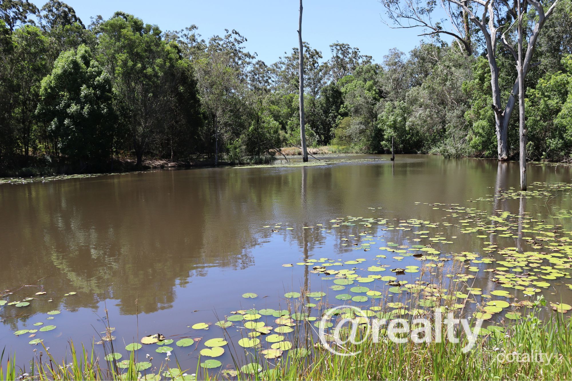 77 Outlook Rd, Veteran, QLD 4570