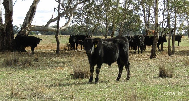 6 Pyle Rd, Londrigan, VIC 3678