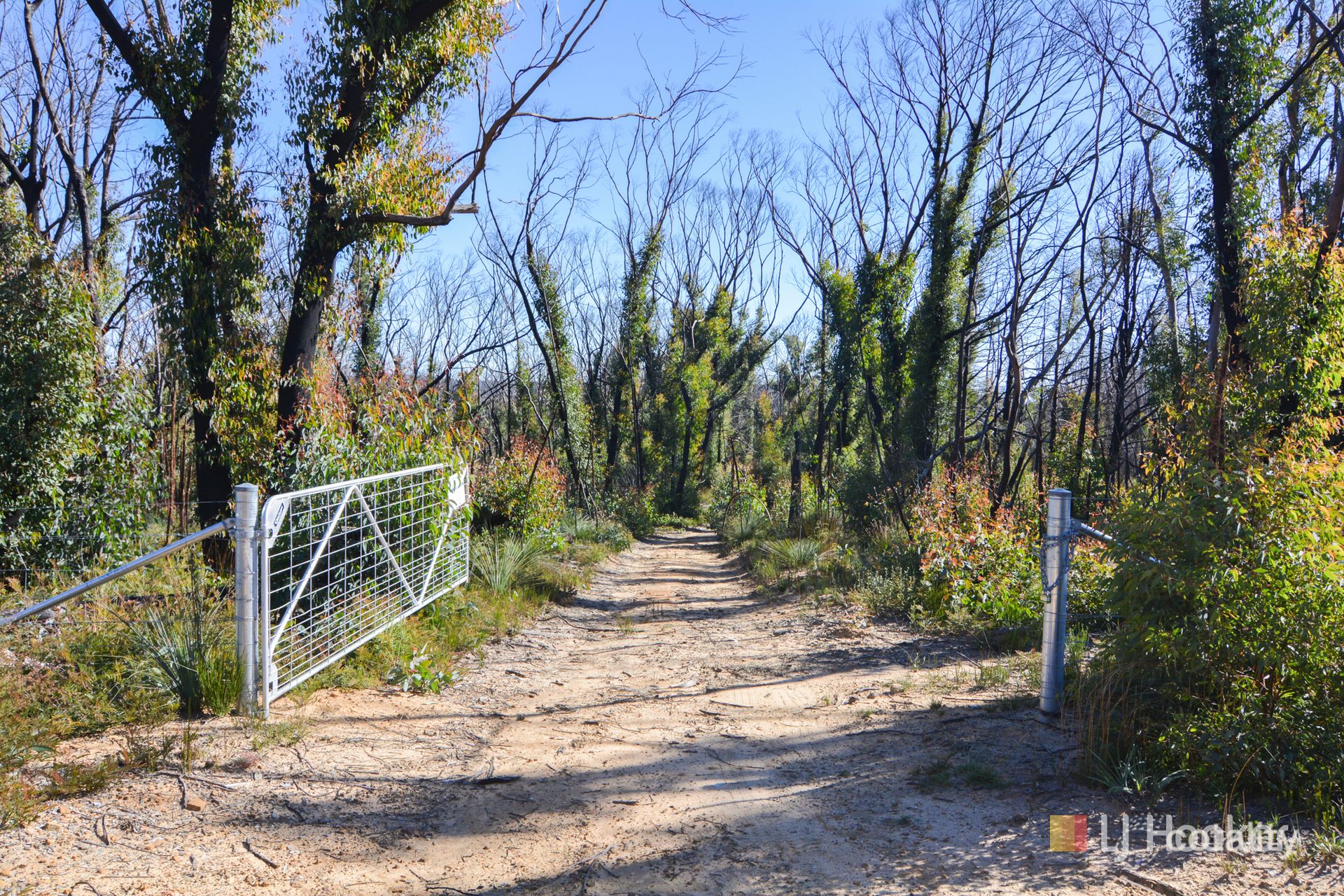 70 Valley View Rd, Dargan, NSW 2786