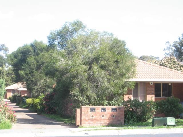 1/110 Kelvinside Rd, Noble Park, VIC 3174