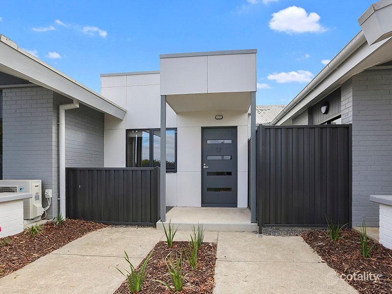 17/17 Colac Gr, Belmont, VIC 3216
