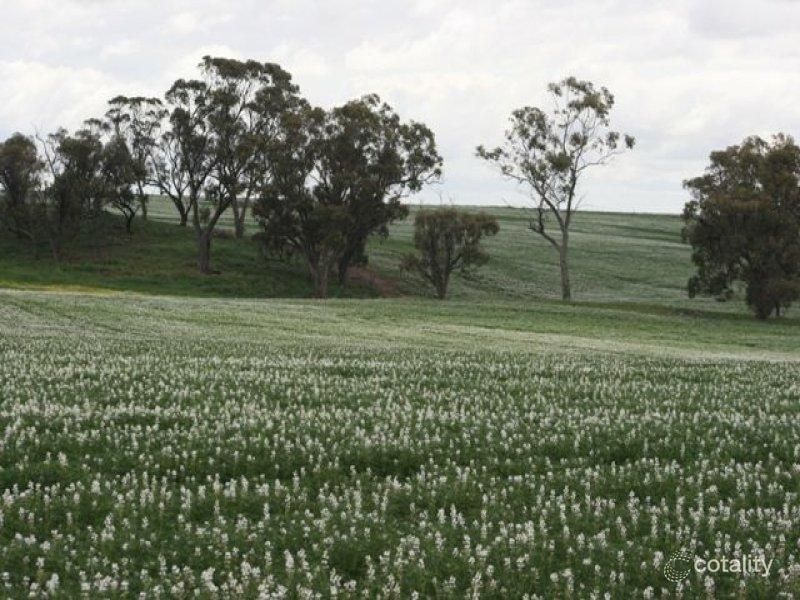 455 Rossmore Rd, Rossmore, WA 6401