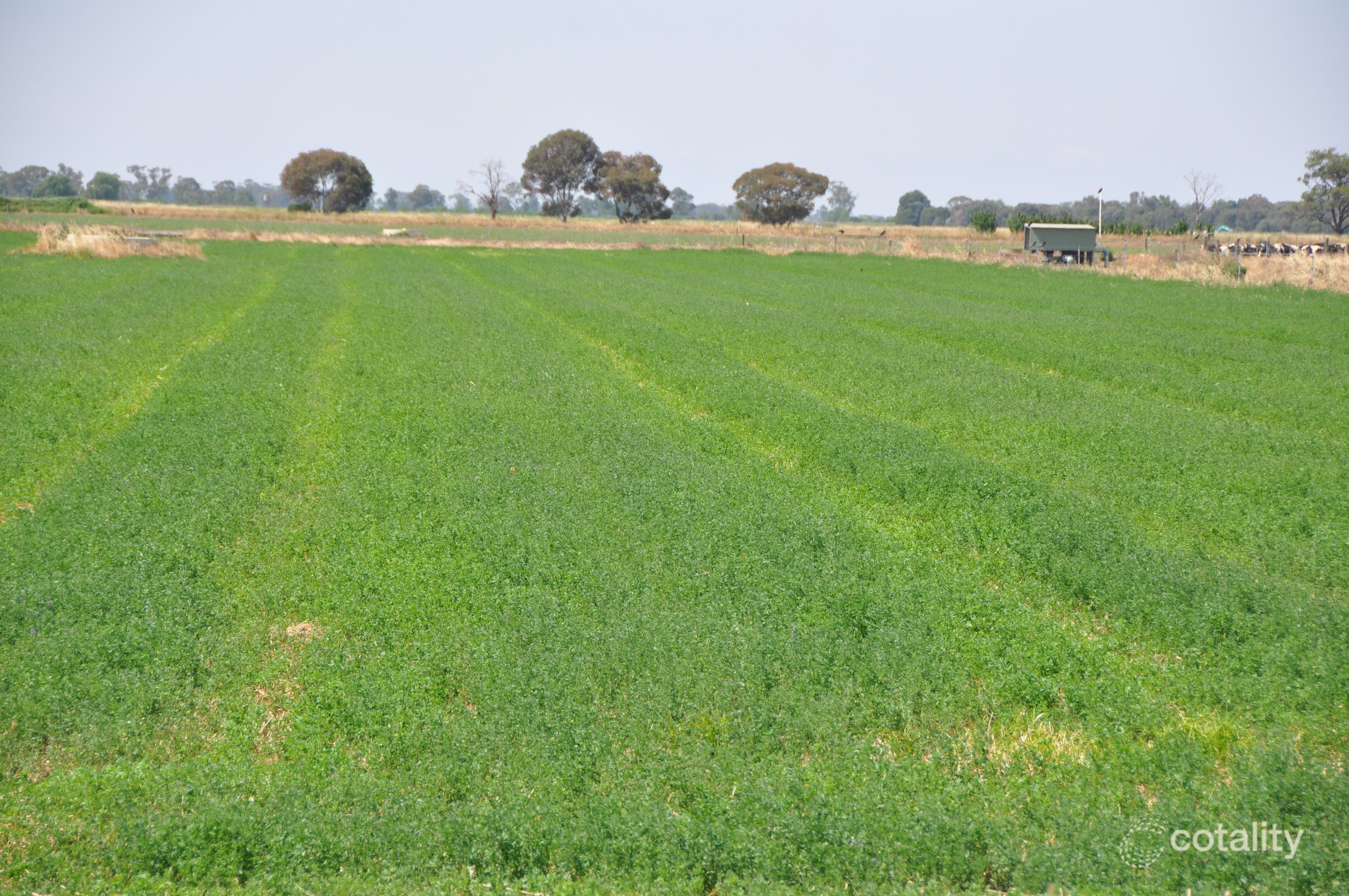 1655 Cosgrove Rd, Invergordon, VIC 3636