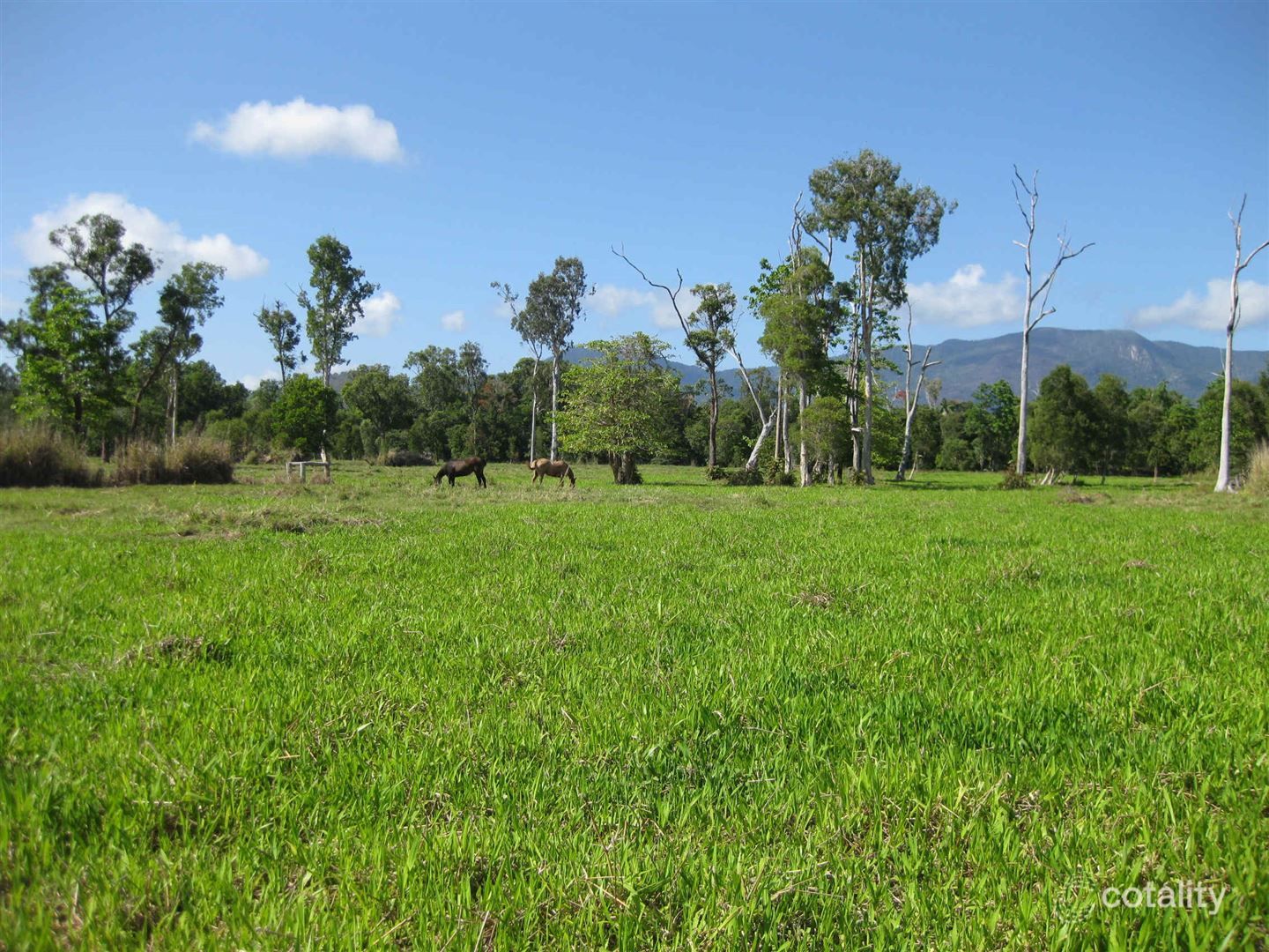 161 Clift Rd, Ellerbeck, QLD 4816